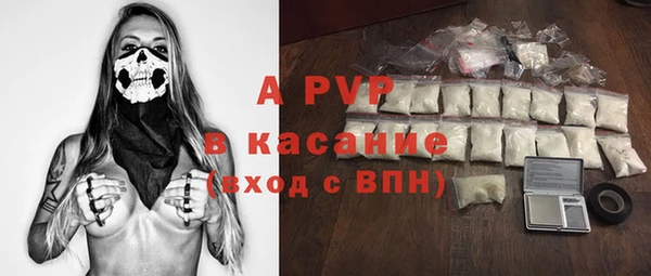 ГАЛЛЮЦИНОГЕННЫЕ ГРИБЫ Богданович