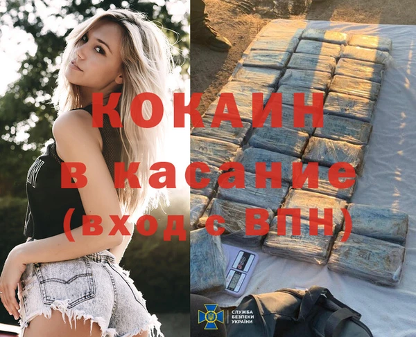 ГАЛЛЮЦИНОГЕННЫЕ ГРИБЫ Богданович