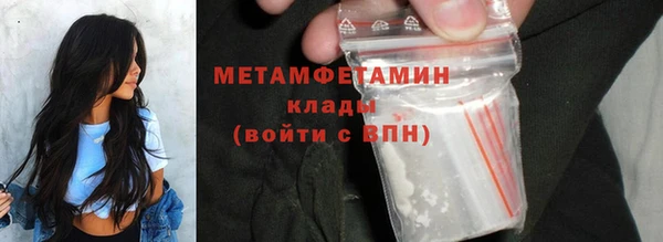 ГАЛЛЮЦИНОГЕННЫЕ ГРИБЫ Богданович
