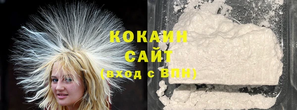 ГАЛЛЮЦИНОГЕННЫЕ ГРИБЫ Богданович