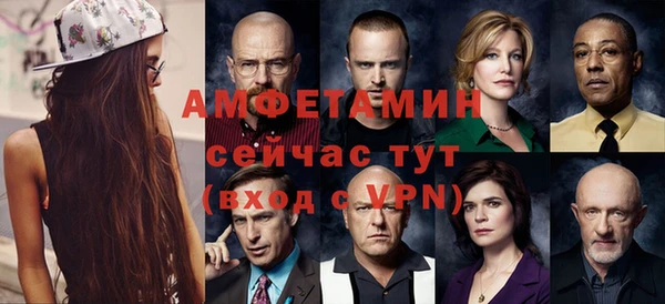 ГАЛЛЮЦИНОГЕННЫЕ ГРИБЫ Богданович